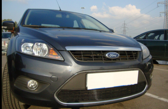 Защита радиатора "Standart" Ford Focus II рестайлинг (2007-2011) чёрная купить недорого с доставкой в Апатиты