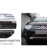 Защита радиатора "Standart" Ford Focus III рестайлинг (2014-2019) под датчик ACS+ASLD, чёрная купить недорого с доставкой в Апатиты