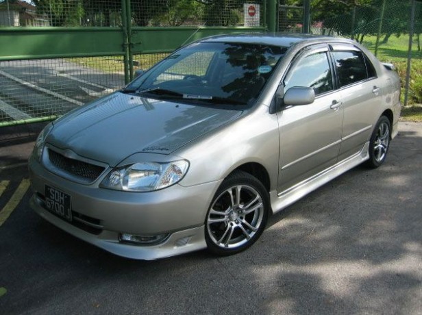 Накладка на передний бампер (сток) Toyota Corolla (120, 121 Fielder) купить недорого с доставкой в Апатиты